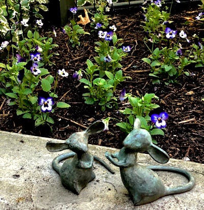 Sensory garden dancing mice