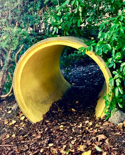 Sensory garden pipe tunnel